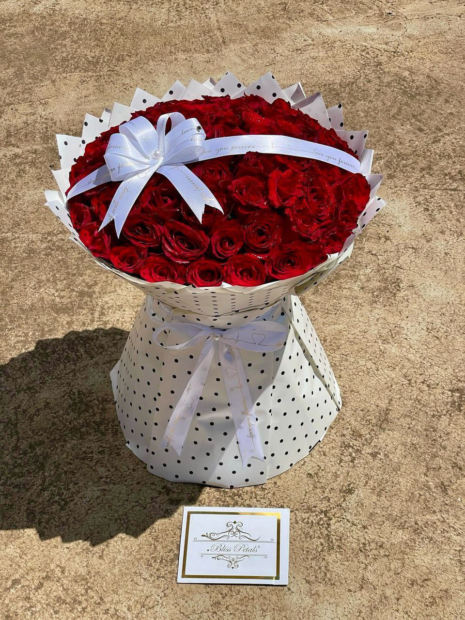 Scarlet Promise Bundle